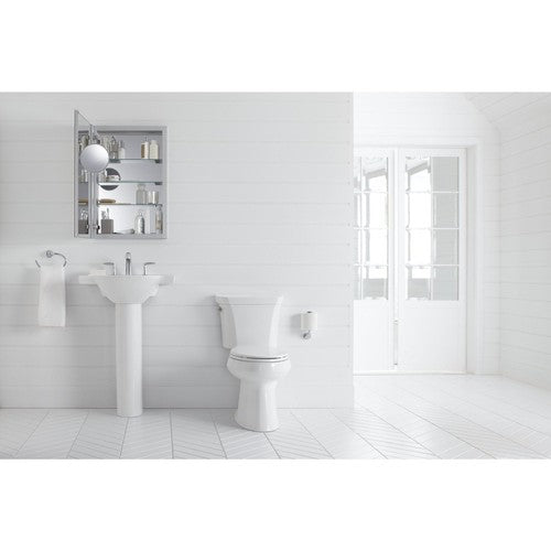 Verdera 20 in. W x 30 in. H Aluminum Medicine Cabinet with Adjustable Flip-Out F