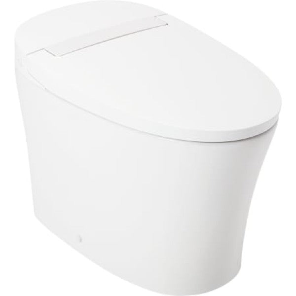 Signature Hardware 477058 Narelle 1.28 GPF One Piece Elongated Toilet - St